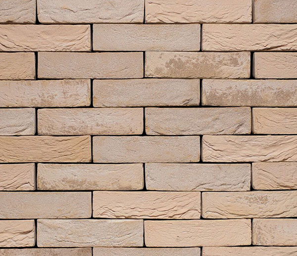 Кирпич S.Anselmo Custom blend AD, Selmo, 250х120х55 мм